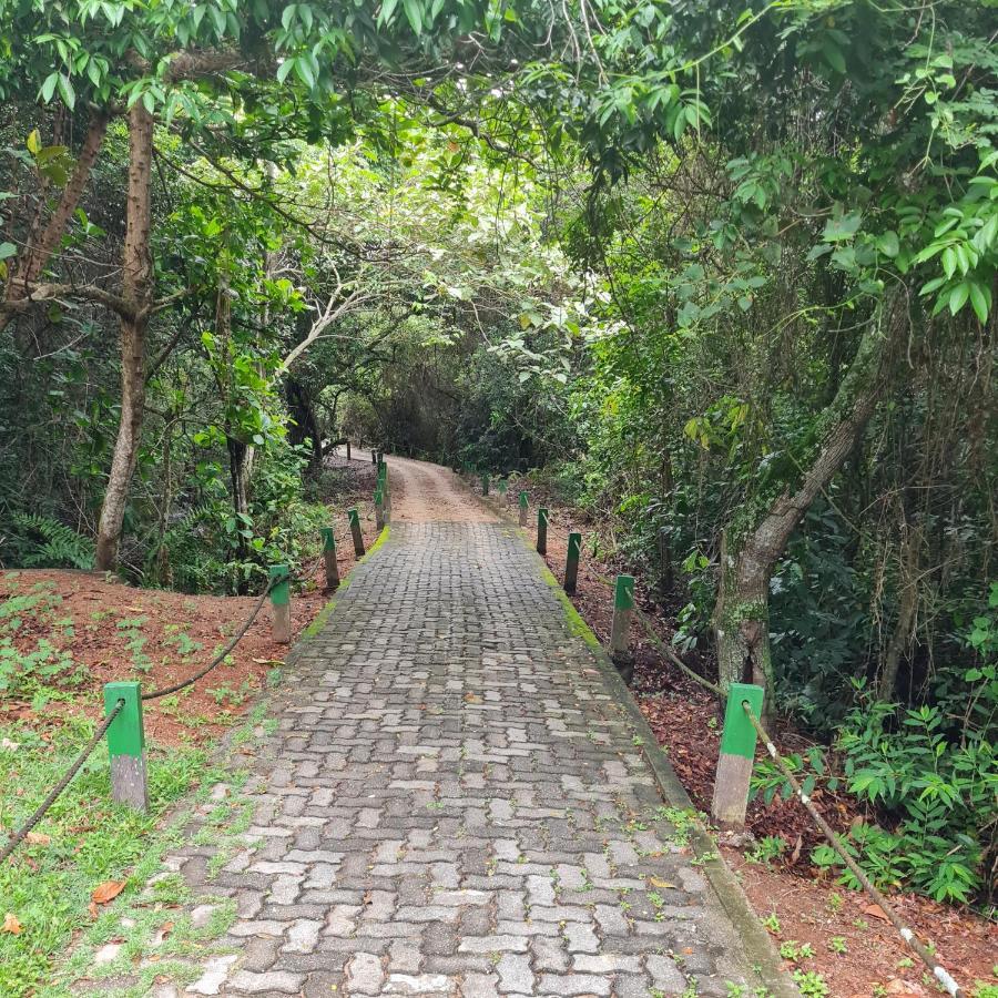 Suite Ampla No Melhor Da Barra Da Tijuca ริโอเดจาเนโร ภายนอก รูปภาพ